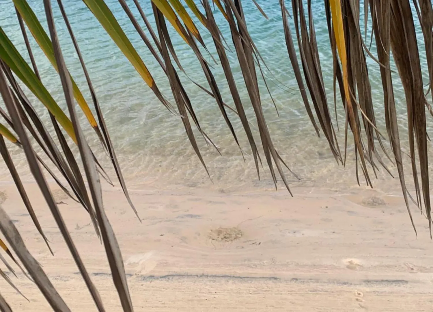 Sandy Toes & Sunsets On The Creek In Palm Beach, Qld! Gold Coast Casa vacanze